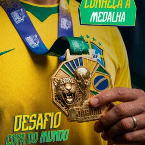 DESAFIO COPA DO MUNDO